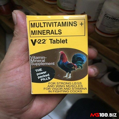 Sử dụng Multivitamins giúp tình trạng không tiêu ở gà cải thiện sau 1 ngày