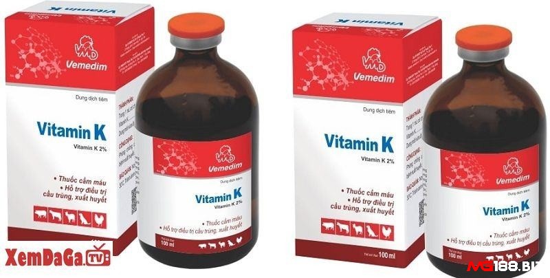 Vitamin K tăng cường hệ miễn dịch của gà chọi