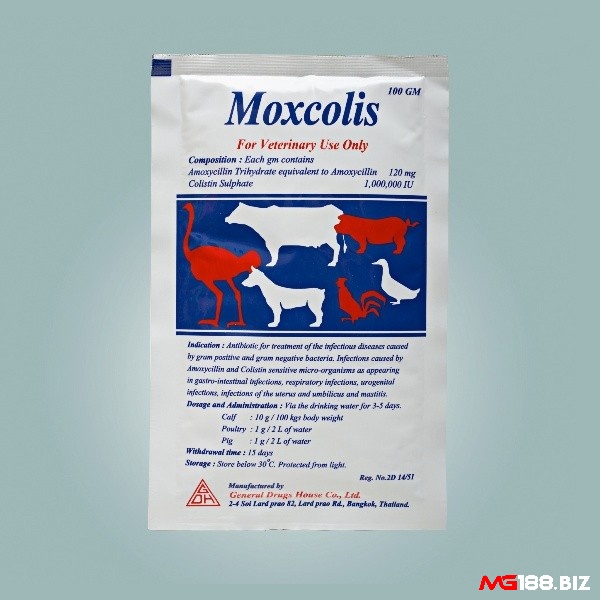 Moxcolis sử dụng 1g cho 5 ngày liên tục