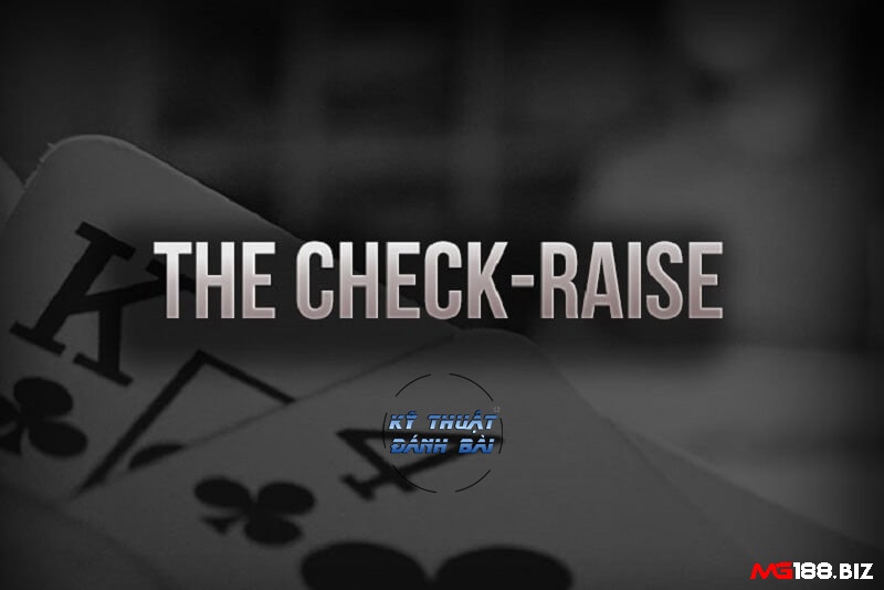 Cùng MG188 tìm hiểu chi tiết về Check Raise trong Poker nhé