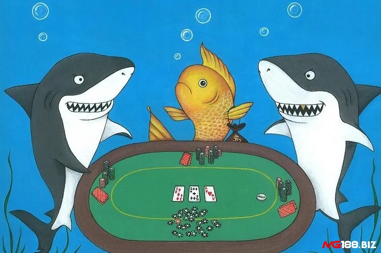Cùng MG188 tìm hiểu Fish trong Poker là gì?
