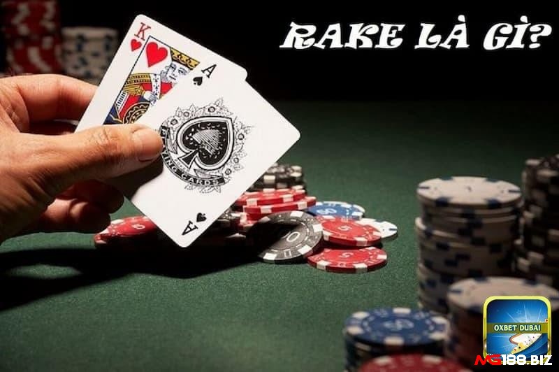 Phí rake poker là yếu tố quan trọng ảnh hưởng đến thu nhập của sòng bạc và người chơi