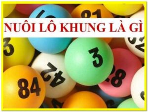 Nuôi lô khung là gì? Các hình thức nuôi lô khung phổ biến