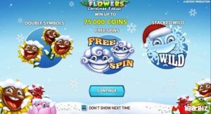 Flowers Christmas slot: Vẻ đẹp của đêm hội Giáng sinh