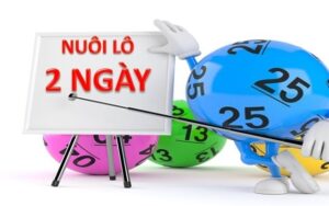 Lô khung 2 ngày chuẩn nuôi như thế nào? Hướng dẫn chi tiết