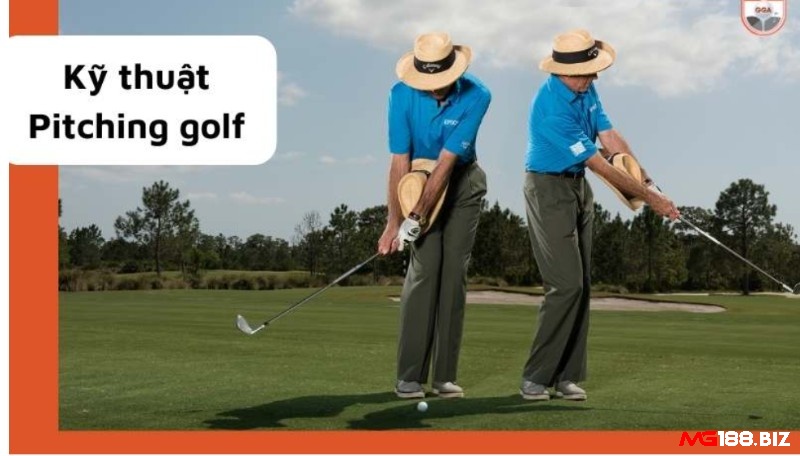 Cách chơi golf - Kỹ thuật Pitching golf