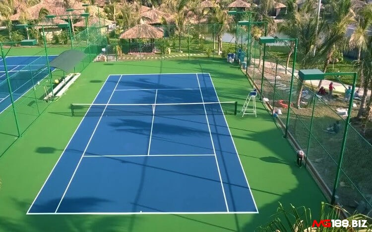 Quy định về lưới trong kích thước sân quần vợt