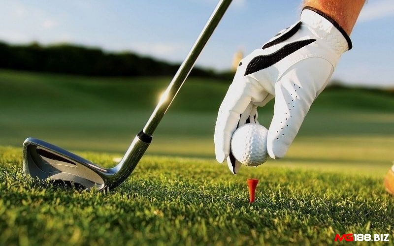 Thuật ngữ về golf về kỹ thuật chơi