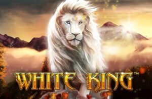 White King: Slot 5 cuộn 4 hàng cung cấp 40 đường thắng