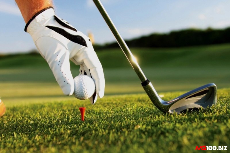 Golf là môn thể thao thịnh hành được nhiều người ưa chuộng