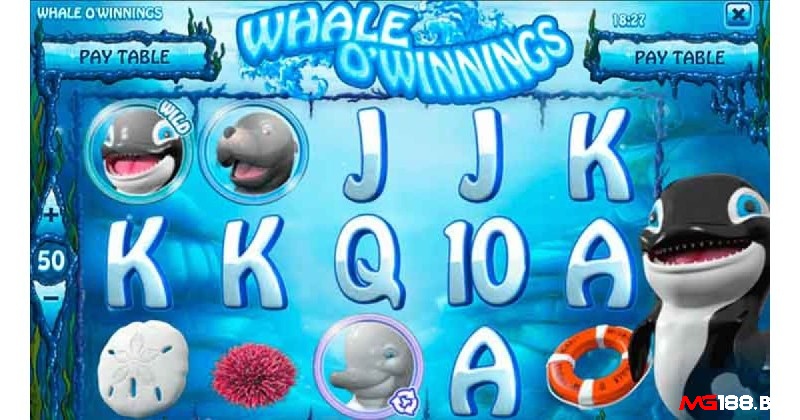 Tìm hiểu chi tiết về cách chơi Whale O Winnings dành cho người mới