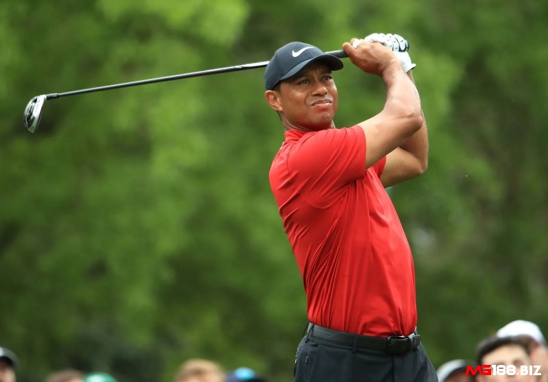 Bảng xếp hạng golf thế giới - Tiger Woods