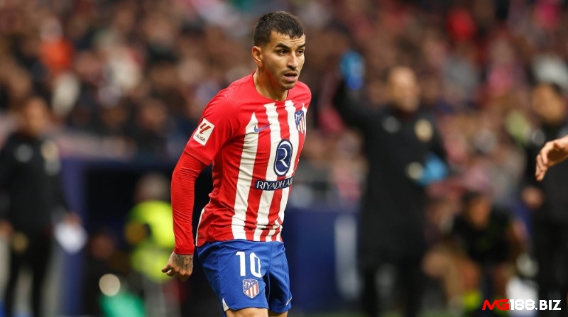 Đội hình xuất sắc nhất Atletico Madrid - Angel Correa