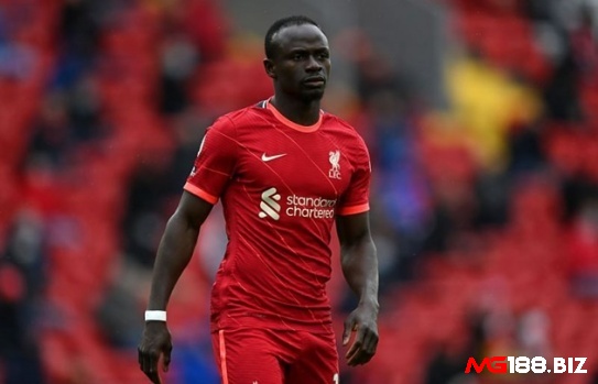 đội hình xuất sắc nhất Liverpool tại Premier League có tiền đạo cánh trái Sadio Mane