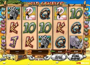 Wild Gambler: Slot cuộc sống hoang dã của Playtech