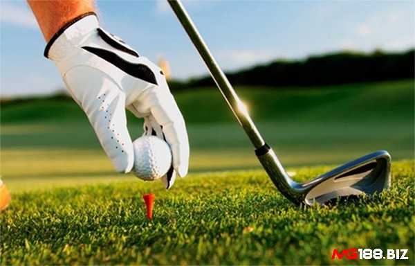 Gậy golf và bóng golf là dụng cụ không thể thiếu của golfer