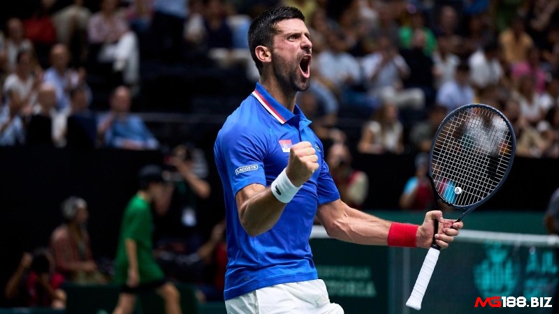 Hiểu rõ về các vòng đấu của giải Davis Cup là gì?