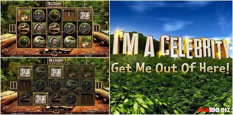 I'm a Celebrity slot lấy bối cảnh về một khu rừng ở vùng xa xôi hẻo lánh nước Úc