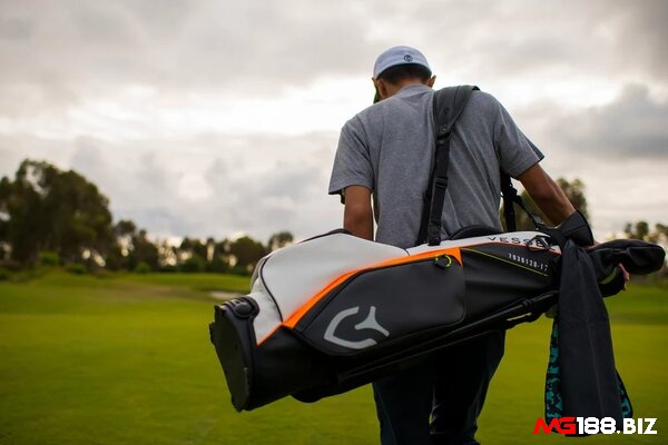 Carry Bag là mẫu túi đựng gậy golf phổ biến nhất