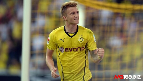 Reus đóng góp 3 bàn thắng cho Dortmund tại C1 2013