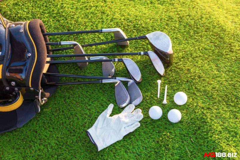 Dụng cụ chơi golf là gì? Quy định chi tiết trong luật chơi golf