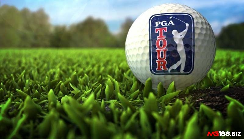 Những quy định cho golfer khi tham dự PGA Tour là gì?