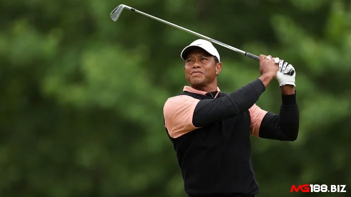 Tiger Woods là ai điểm các thành tích của Tiger Woods