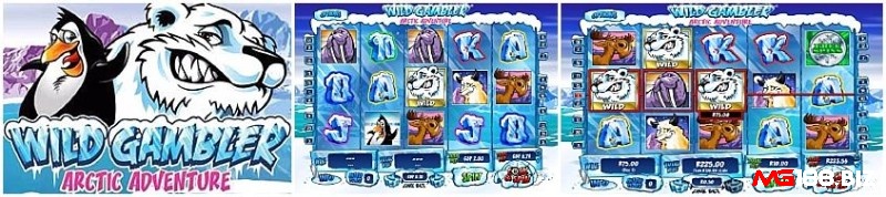 Tính năng thưởng trong game Wild Gambler Arctic Adventure