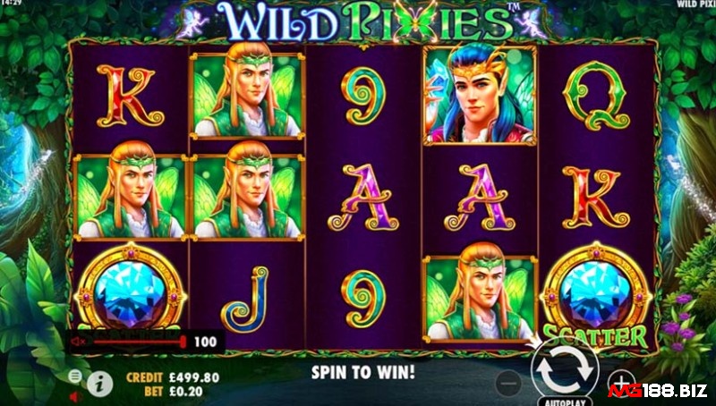 Những tính năng thưởng nổi bật trong game Wild Pixies