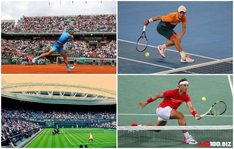 Các loại mặt sân tennis rất phổ biến như là sân đất nện sân cứng tiêu chuẩn và là sân cỏ