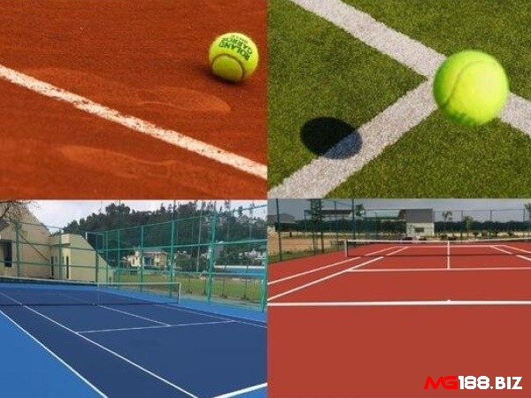 Trong số các loại mặt sân tennis thì sân tennis cỏ được rất nhiều người thích và lựa chọn nhiều