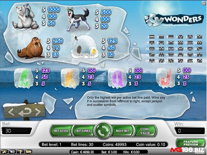 Các biểu tượng trong Ice Wonder slot đều là các sinh vật sống tại Bắc Cực