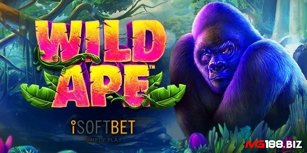 RTP trò chơi 96,01% ở mức chung của slot game