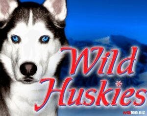 Wild Huskies: Slot về những chú sói trắng phương Bắc