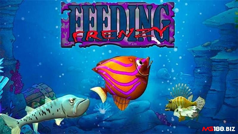 Tải Feeding Frenzy siêu dễ, máy cấu hình yếu cũng ok