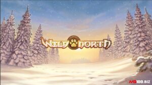 Wild North: Slot PlaynGo có tới 7 tính năng vòng quay miễn phí